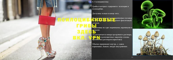 a pvp Белокуриха