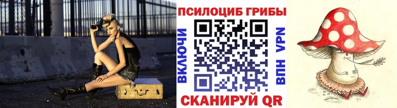 darknet какой сайт  Зарайск  Галлюциногенные грибы прущие грибы 